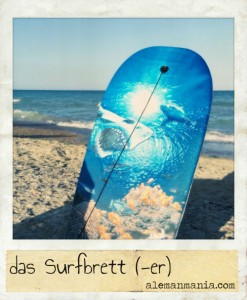 Das Surfbrett