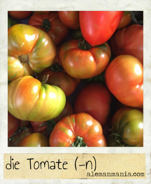 Die Tomate. Rote und grüne Tomaten